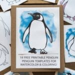 penguin templates for watercolor & coloring