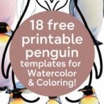 penguin templates for watercolor & coloring