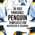 penguin templates for watercolor & coloring