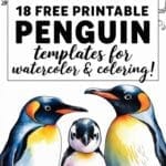 penguin templates for watercolor & coloring