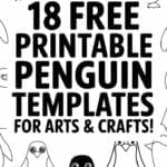 penguin templates for watercolor & coloring