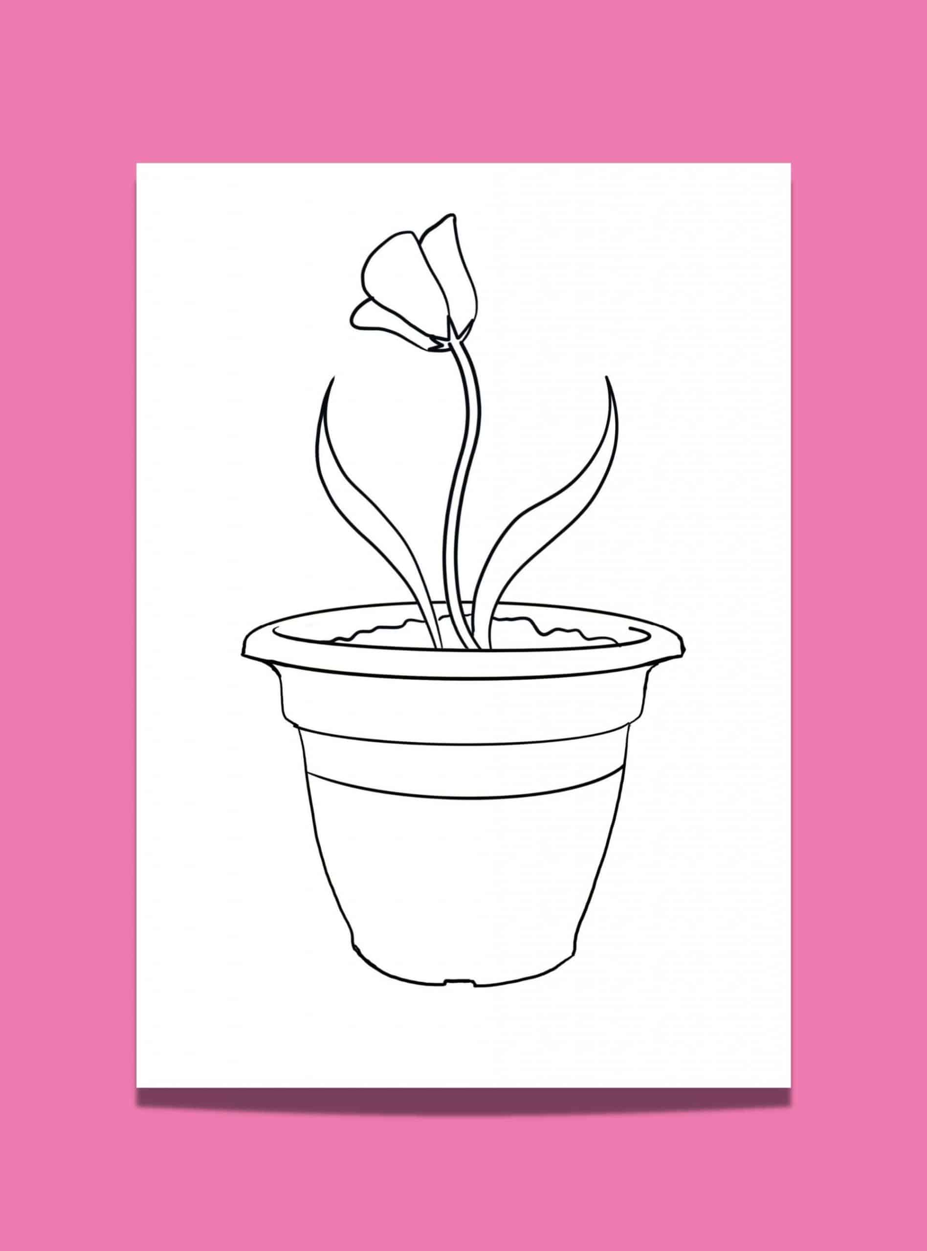 Get Ready to Bloom with Creativity! 13 Delightful Flower Pot Template