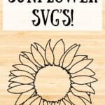 Sunflower SVG