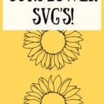 Sunflower SVG