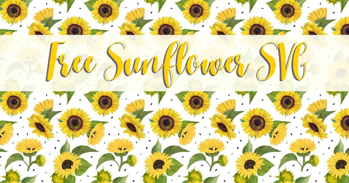 Free Svg Sunflower Mandala Layered Svg Free Svg - vrogue.co