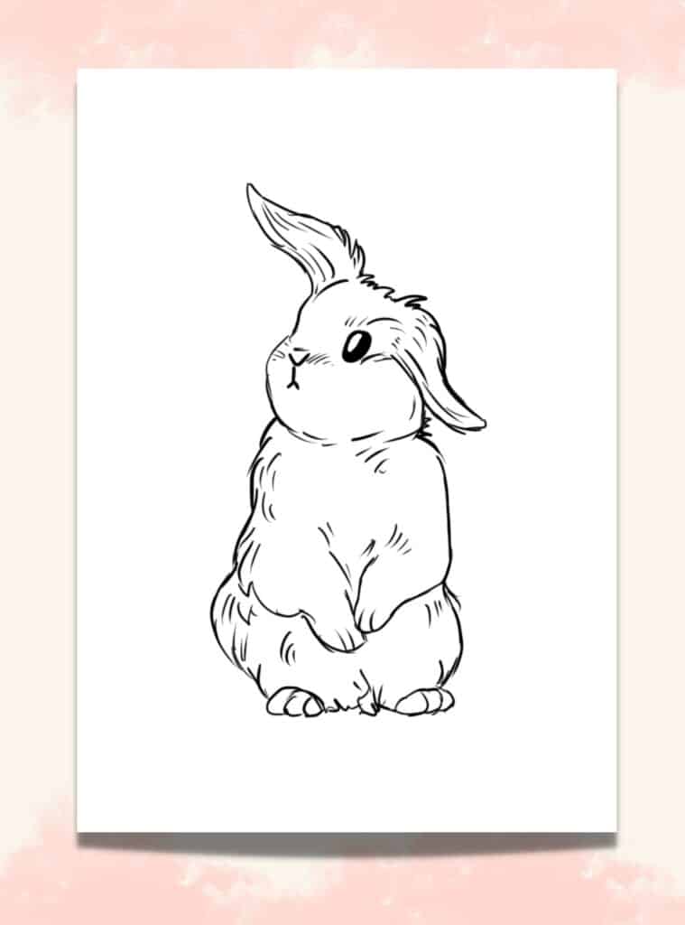 Looking For A Cut Out Printable Bunny Template 10 Cute Bunny Outlines For Your Creative