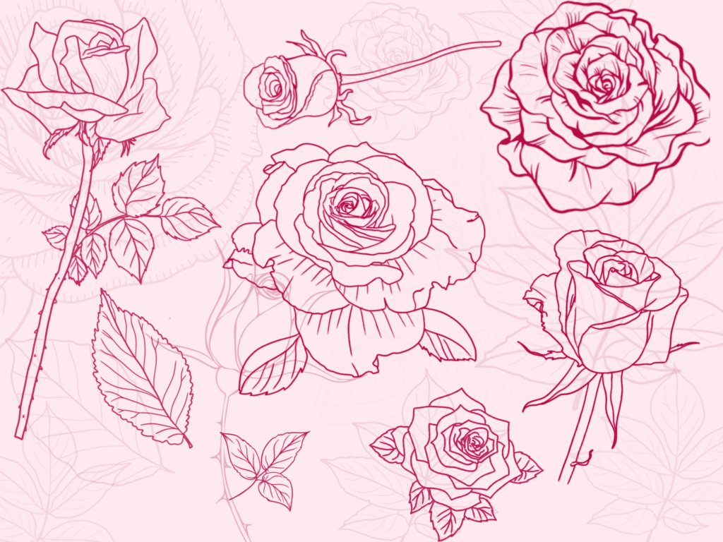 procreate rose brushes free download
