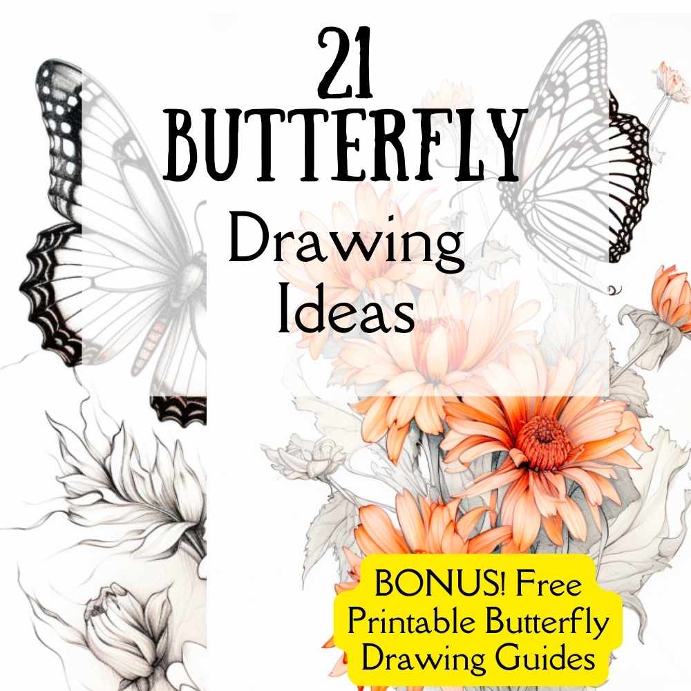 How to draw a butterfly easy step by step || Butterfly drawing - YouTube