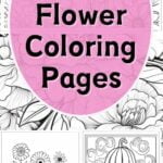 free printable flower coloring pages