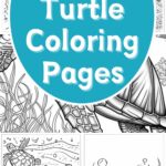 free printable turtle coloring pages