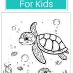 free printable turtle coloring pages