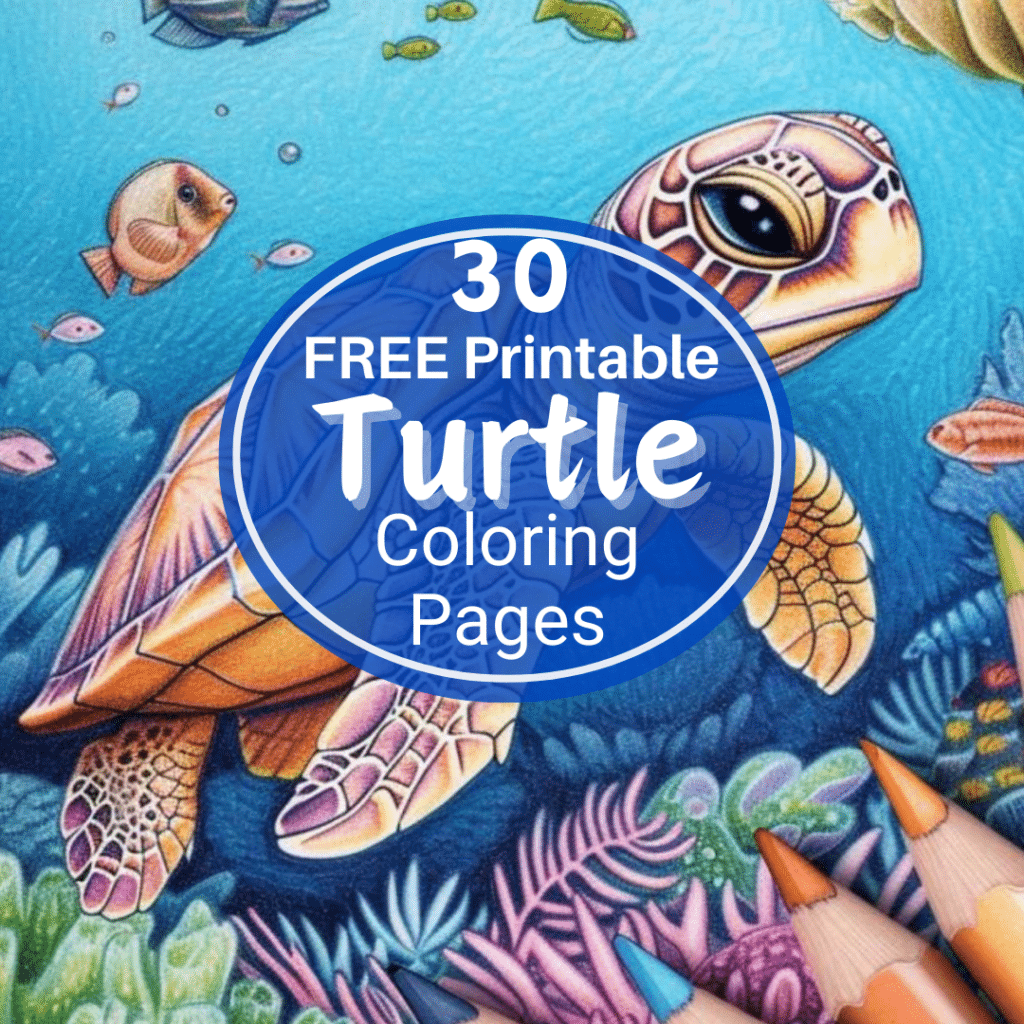 50 Turtle Coloring Pages 2024 Free Printable Sheets C - vrogue.co