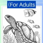 free printable turtle coloring pages