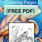 free printable turtle coloring pages