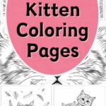 kitten coloring pages