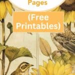 sunflower junk journal pages free printables