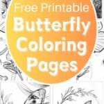 free printable butterfly coloring pages