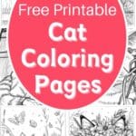 cat coloring pages