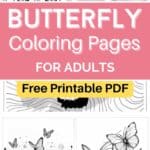 free printable butterfly coloring pages