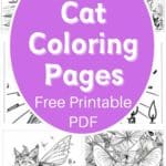 cat coloring pages