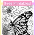 free printable butterfly coloring pages