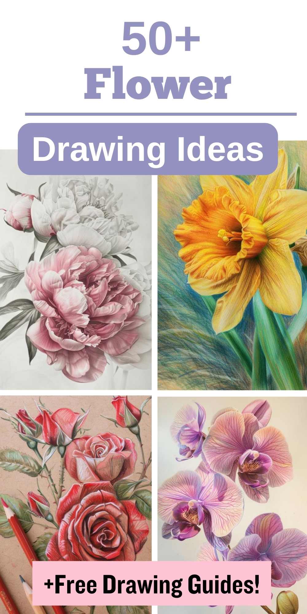 50+ Beautiful Flower Drawing Ideas (+ Free Drawing Templates ...