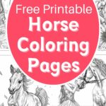 horse coloring pages