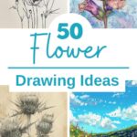 flower drawing ideas