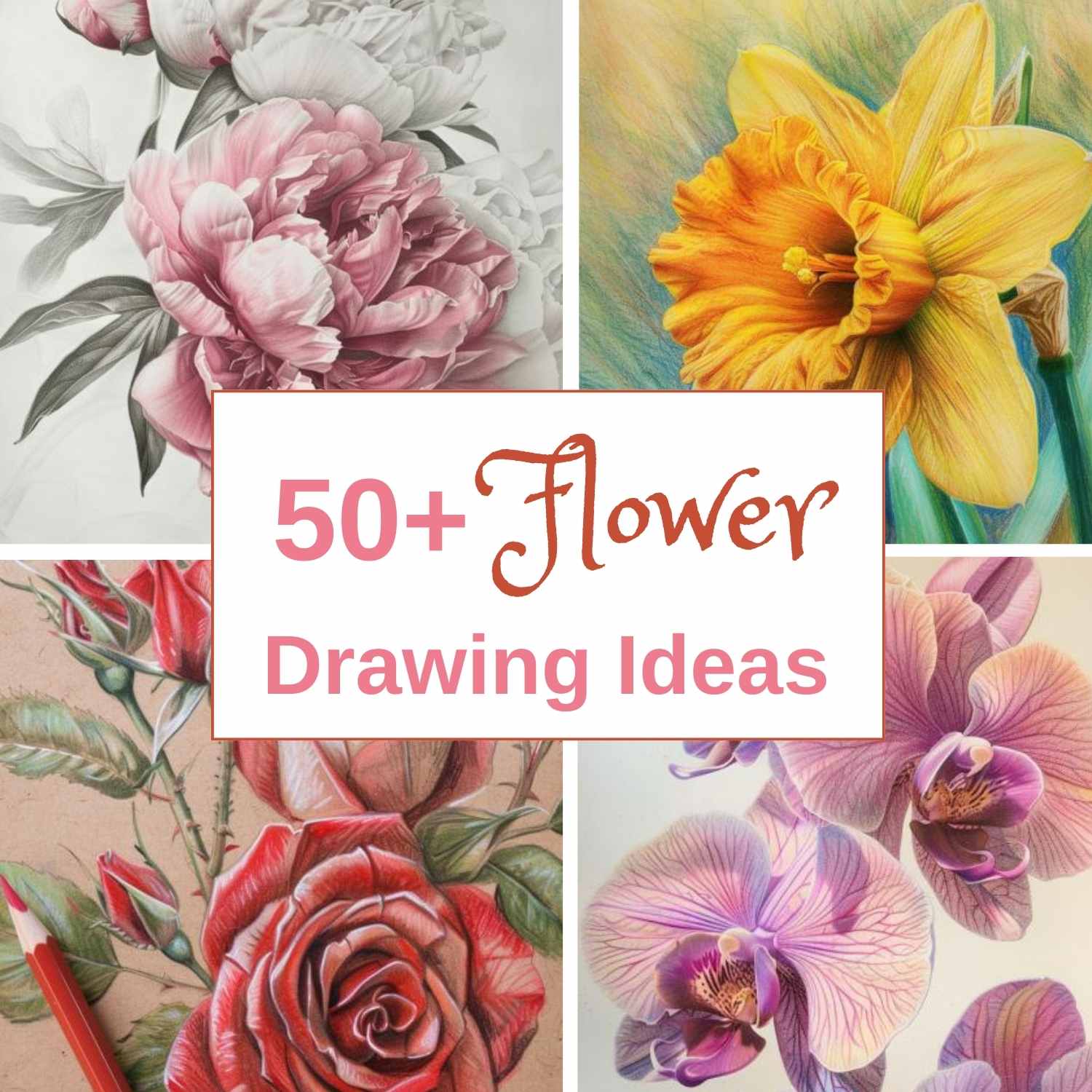 easy drawing ideas of flowers - Clip Art Library
