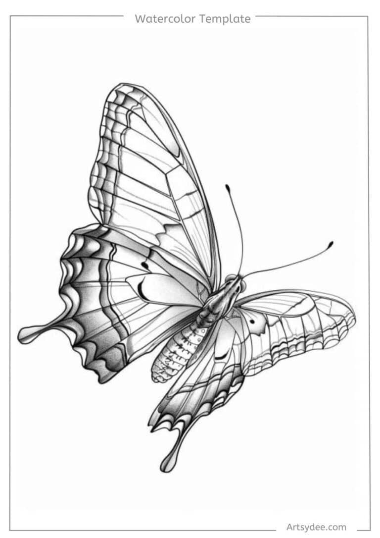 butterfly template for watercolor