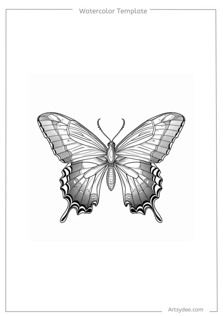 butterfly template for watercolor