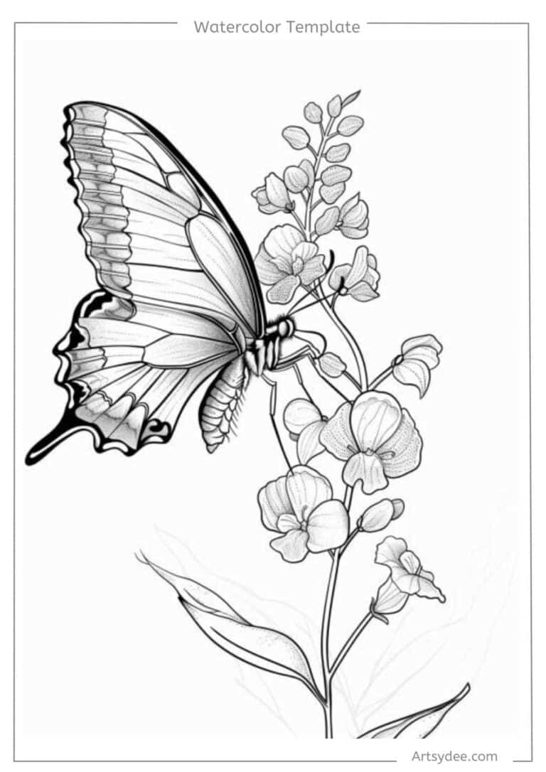 butterfly template for watercolor