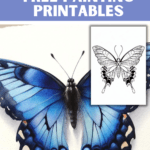 butterfly templates