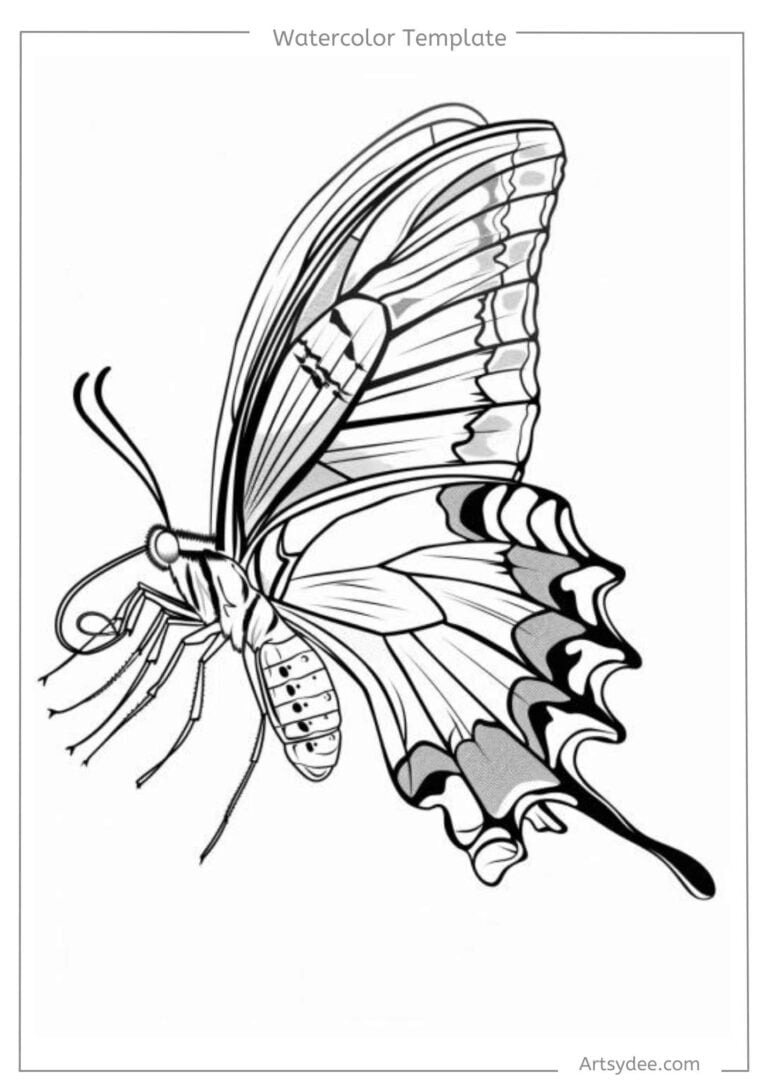 butterfly template for watercolor