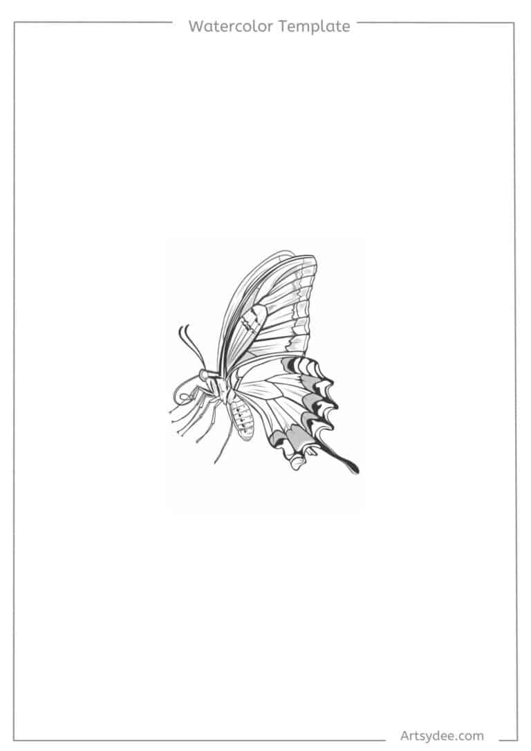 butterfly template for watercolor