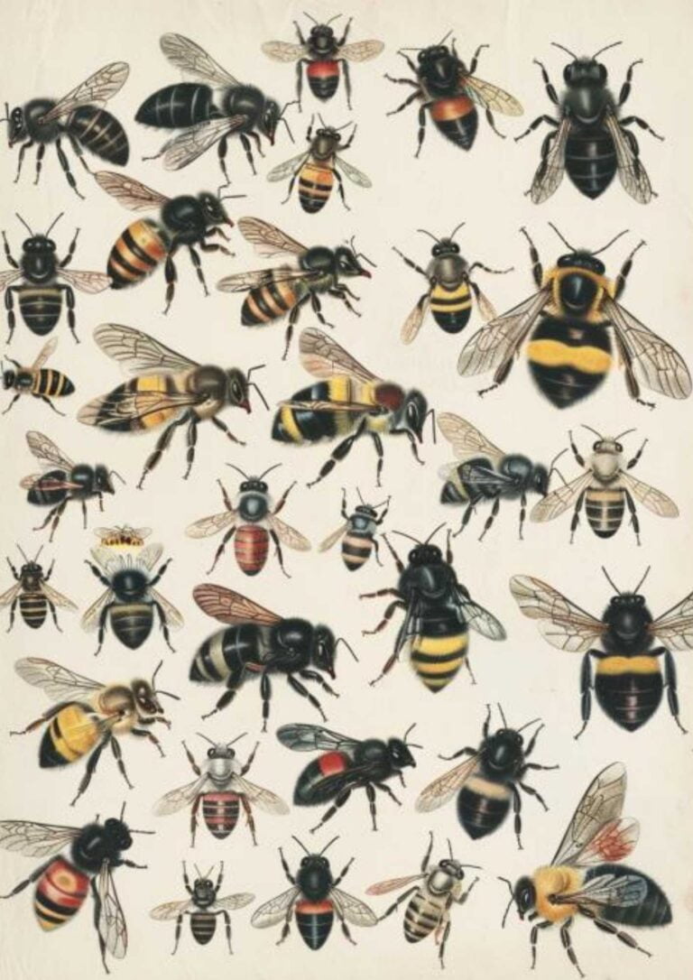 printable bumble bees 1 (21)