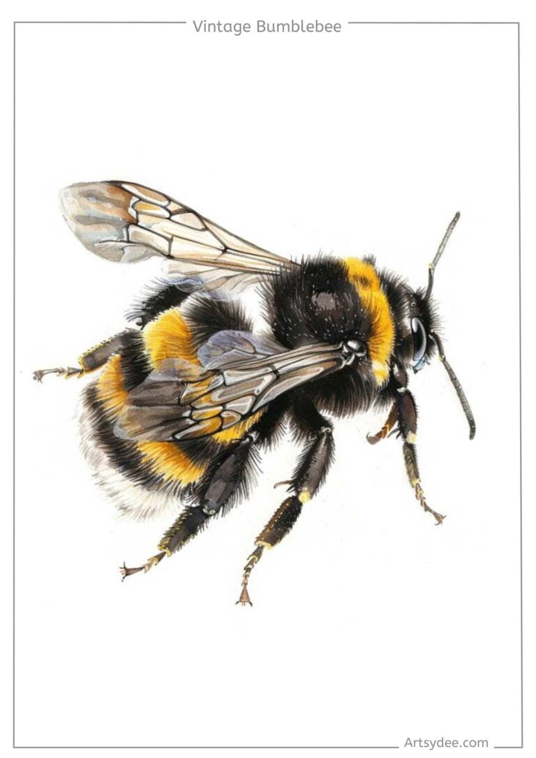 printable bumble bees 1 (4)