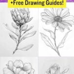 Pretty Flower drawing ideas