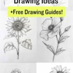 Pretty Flower drawing ideas