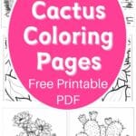 cactus coloring pages artsydee