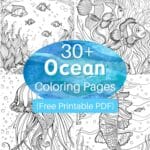 ocean coloring pages