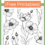 botanical coloring pages