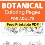 botanical coloring pages