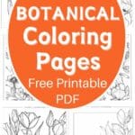 botanical coloring pages