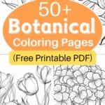 botanical coloring pages