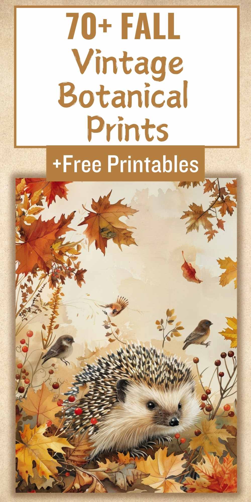 Vintage Fall Botanicals: 70+ FREE Printable Wall Art for Autumn Vibes