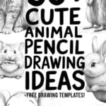 cute animal pencil drawings