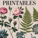 free vintage botanical printables