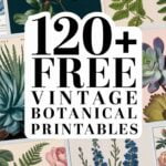 free vintage botanical printables