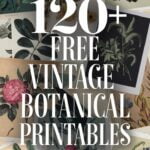 free vintage botanical printables